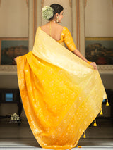 Hand-Dyed Double Shade Banarasi Uppada Silk saree