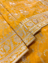 Hand-Dyed Double Shade Banarasi Uppada Silk saree